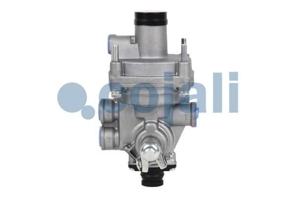 Releu, ALB COJALI 2220320