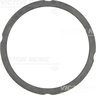 Garnitura, chiulasa VICTOR REINZ 61-25475-70