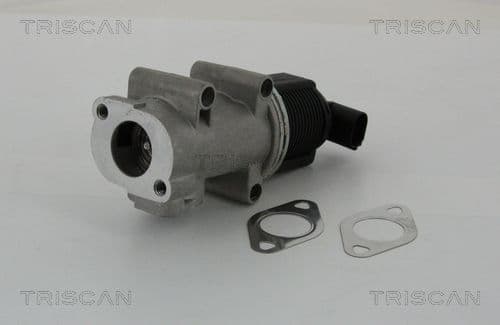 Supapa EGR TRISCAN 8813 10005