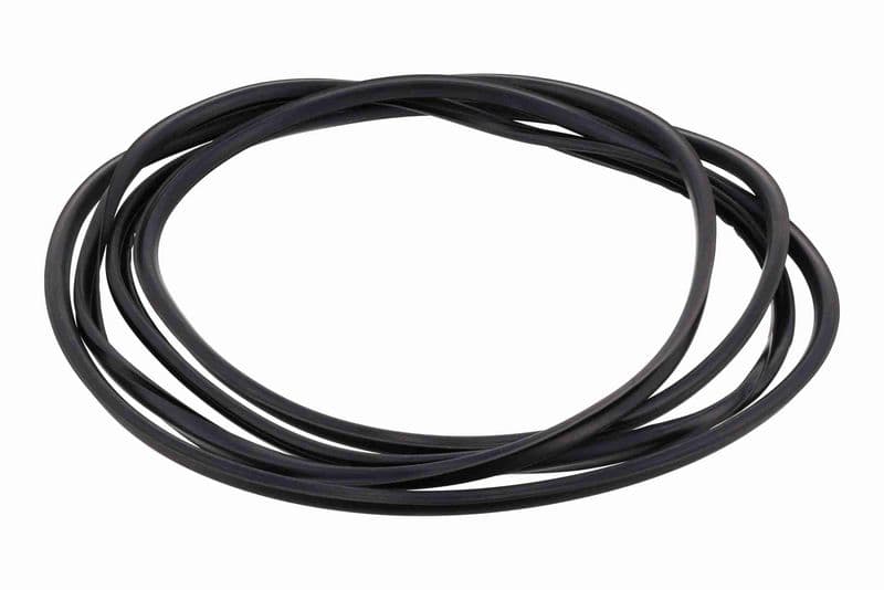 Garnitura, parbriz VAICO V10-3042