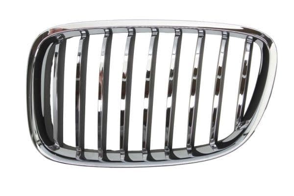 Grila radiator BLIC 6502-07-00679911P