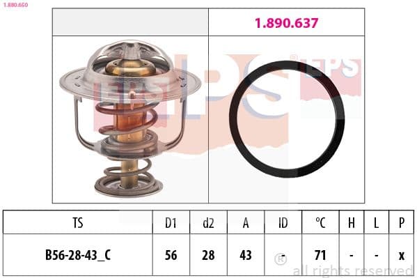 termostat,lichid racire EPS Made in Italy - OE Equivalent 1.880.650