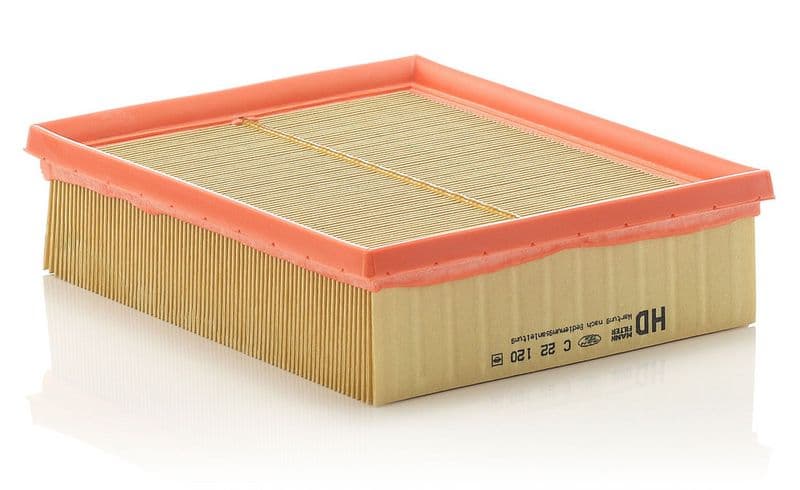 Filtru aer MANN-FILTER C 22 120
