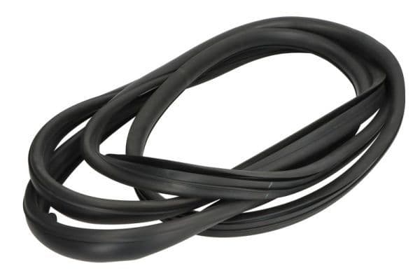 Garnitura, parbriz BLIC 5703-04-6037391Q