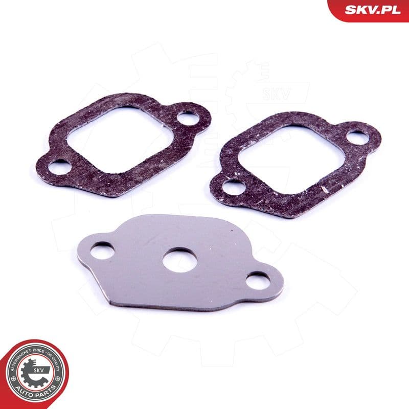 Set de reparație, supapă AGR ESEN SKV 14SKV552