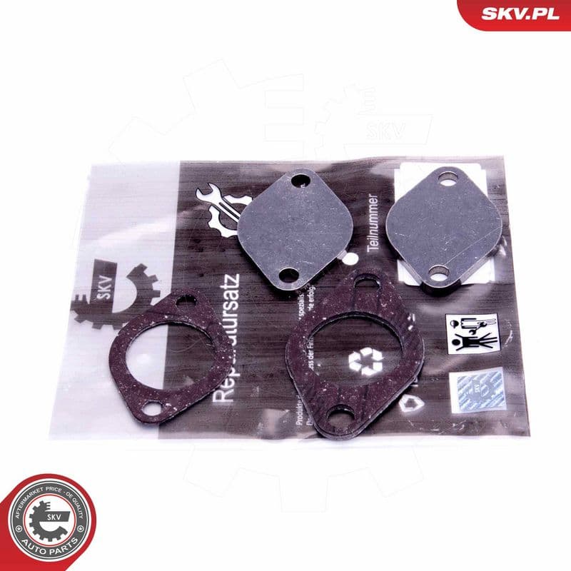 Set de reparație, supapă AGR ESEN SKV 14SKV562