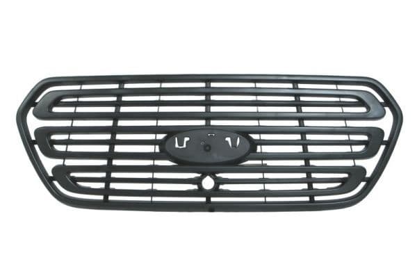 Grila radiator BLIC 6502-07-2518990P