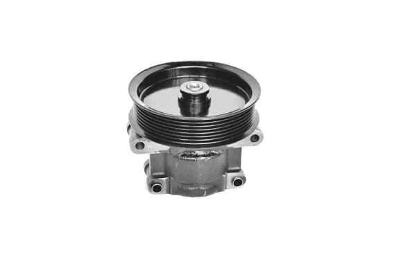 Pompa hidraulica, sistem de directie ASAM AUTOMOTIVE 73462