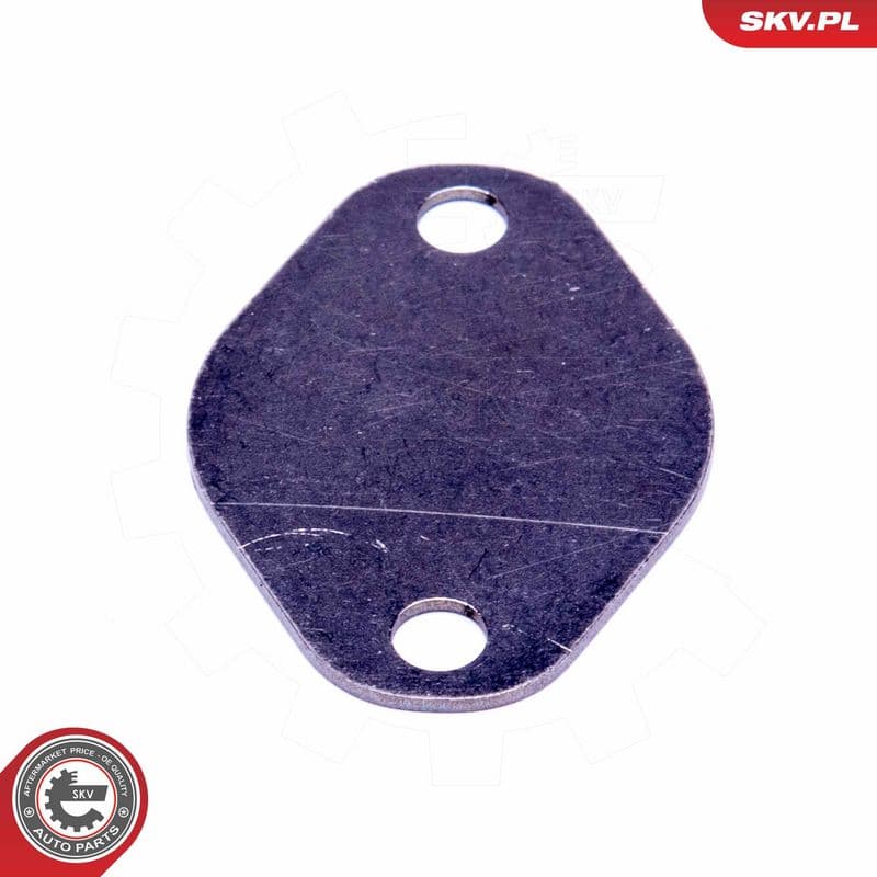 Set de reparație, supapă AGR ESEN SKV 14SKV547
