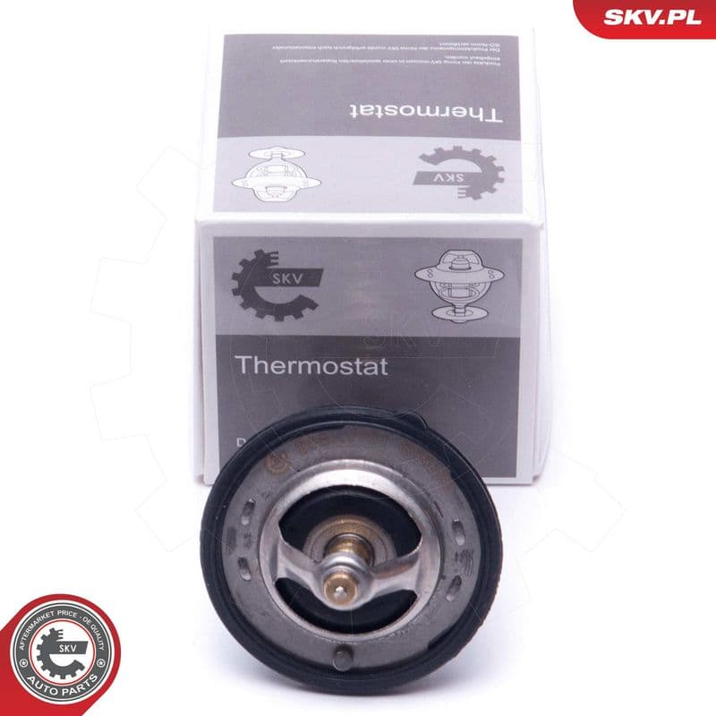 termostat,lichid racire ESEN SKV 20SKV131