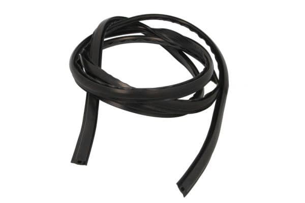 Elemente decorative/protectie, parbriz BLIC 5703-04-6037883Q