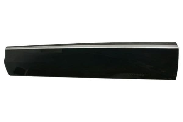 Elemente decorative/protectie, portiera BLIC 5703-04-7807571P
