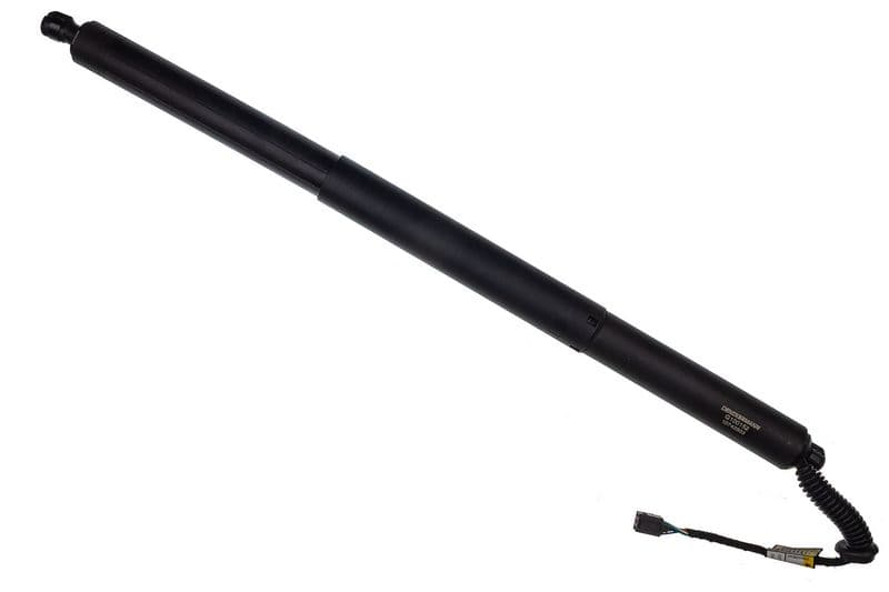 Motor electric, haion DENCKERMANN G100152