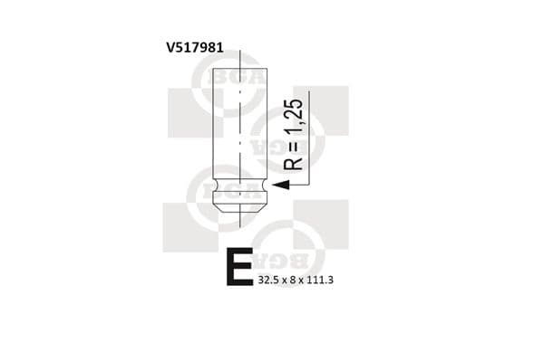 Supapa evacuare BGA V517981