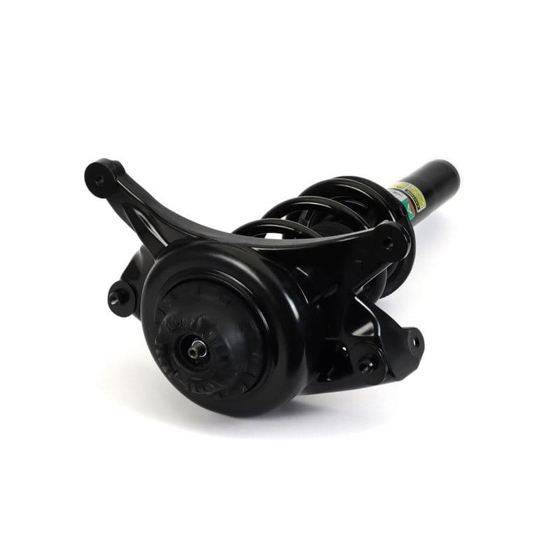 amortizor Arnott SK-3843
