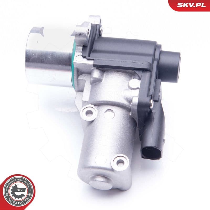 Supapa EGR ESEN SKV 14SKV164
