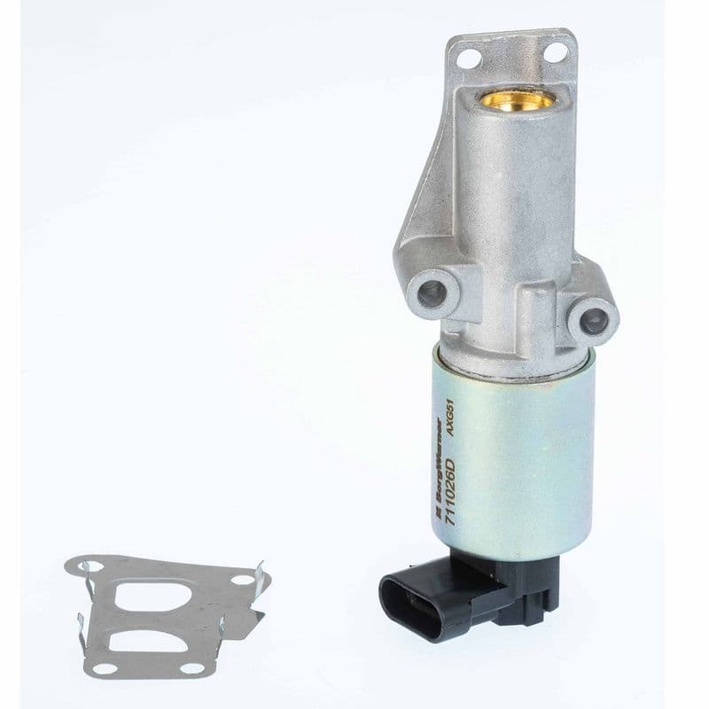 Supapa EGR WAHLER 711026D