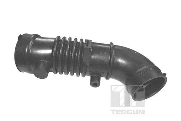 Palnie, filtru de aer TEDGUM 00392517