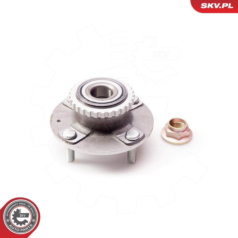 Set rulment roata ESEN SKV 29SKV114