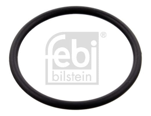 Garnitura, carcasa termostat FEBI BILSTEIN 100077