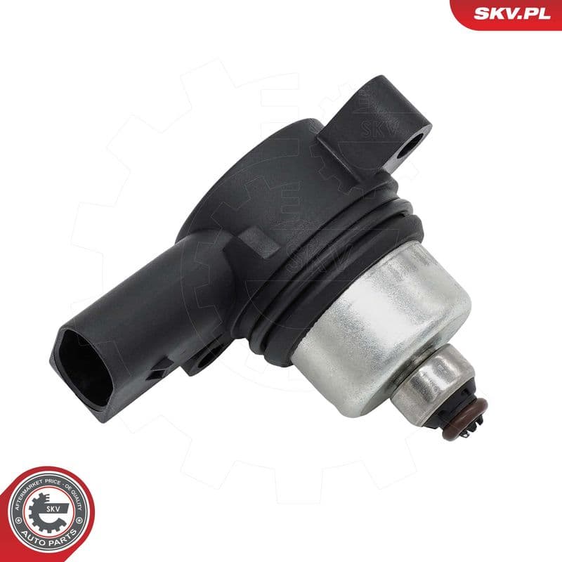 supapa,sistem supraalimentare ESEN SKV 97SKV314