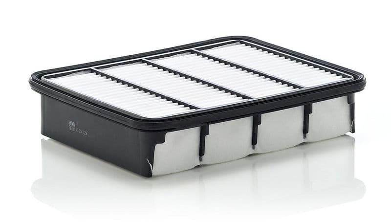 Filtru aer MANN-FILTER C 25 128