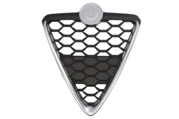 Grila radiator BLIC 6502-07-0105999P