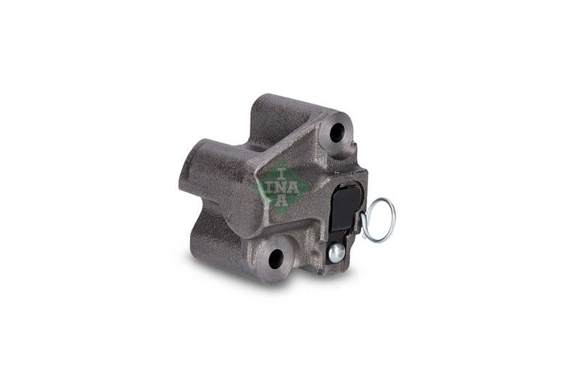 intinzator,lant distributie Schaeffler INA 551 0207 10