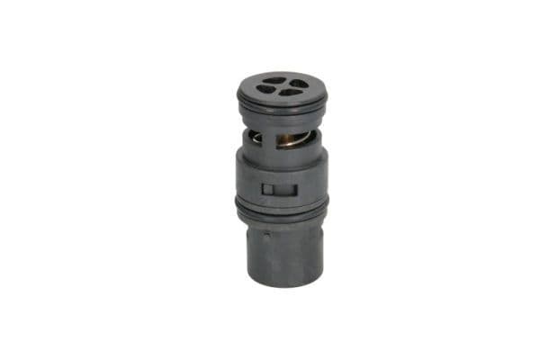 termostat,lichid racire THERMOTEC D2B007TT