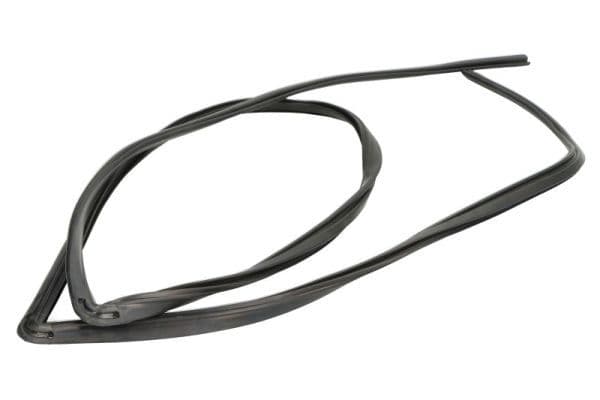 Elemente decorative/protectie, parbriz BLIC 5703-04-6037720Q