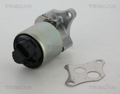 Supapa EGR TRISCAN 8813 24081