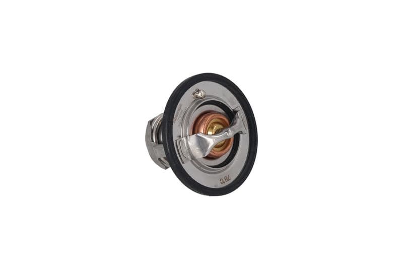 termostat,lichid racire KAMOKA 7710138