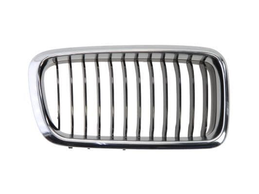 Grila radiator BLIC 6502-07-0075996P