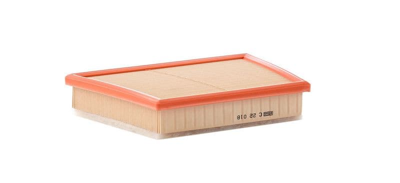 Filtru aer MANN-FILTER C 22 018