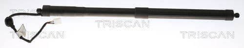 Amortizor portbagaj TRISCAN 8710 13301