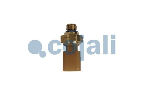 Senzor COJALI 2262049