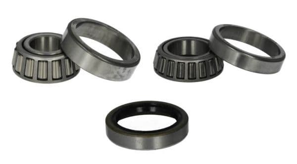 Set rulment roata BTA H21005BTA