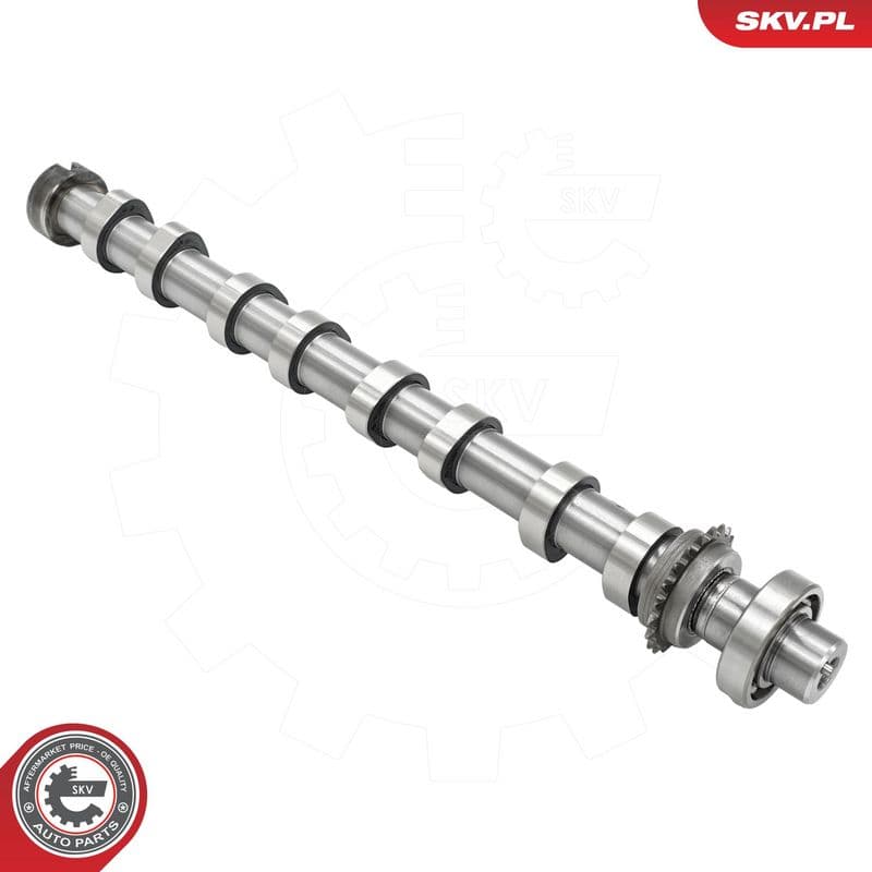 Ax cu came ESEN SKV 80SKV044