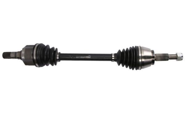 Planetara PASCAL G2R163PC