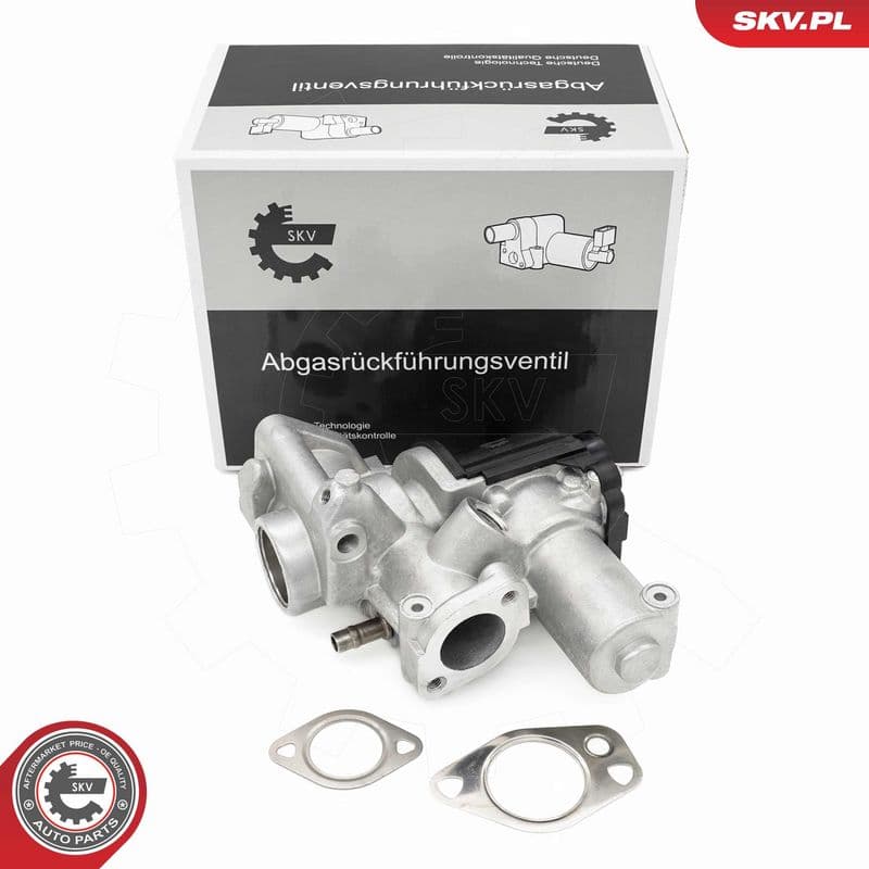Supapa EGR ESEN SKV 14SKV253