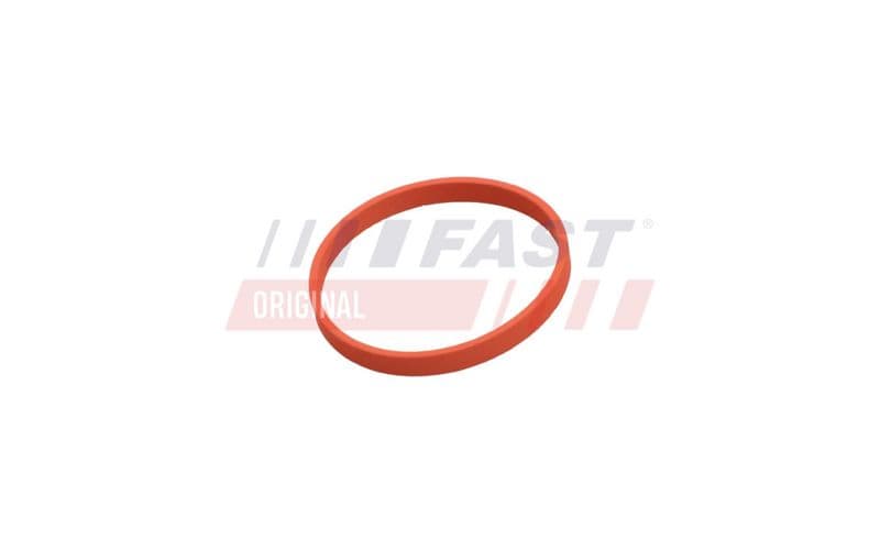 Garnitura, ventil AGR FAST FT50628