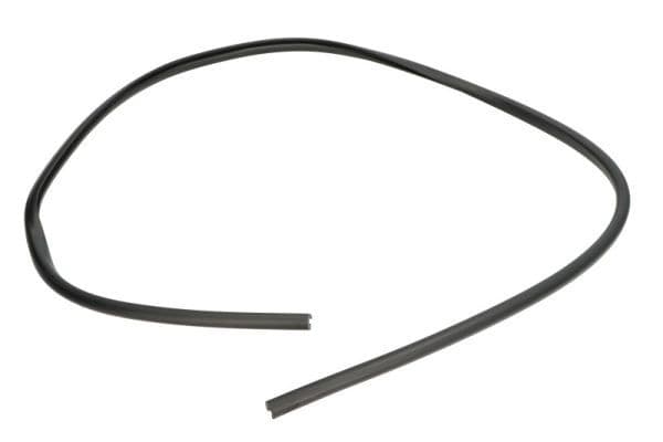 Elemente decorative/protectie, parbriz BLIC 5703-04-6037690Q