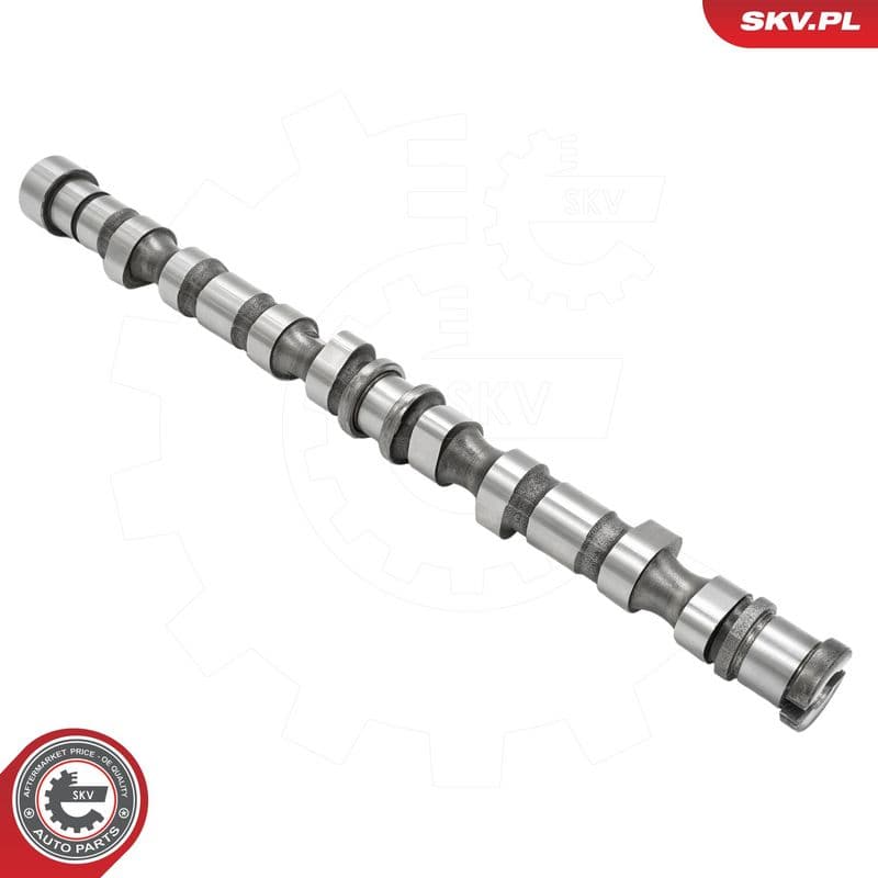 Ax cu came ESEN SKV 80SKV047