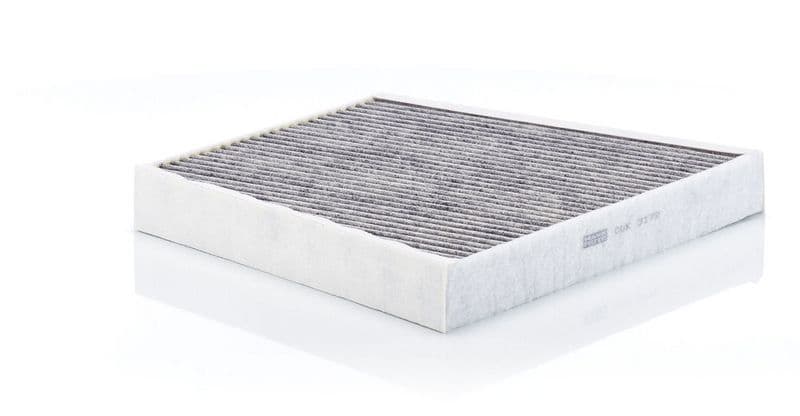 Filtru, aer habitaclu MANN-FILTER CUK 3172