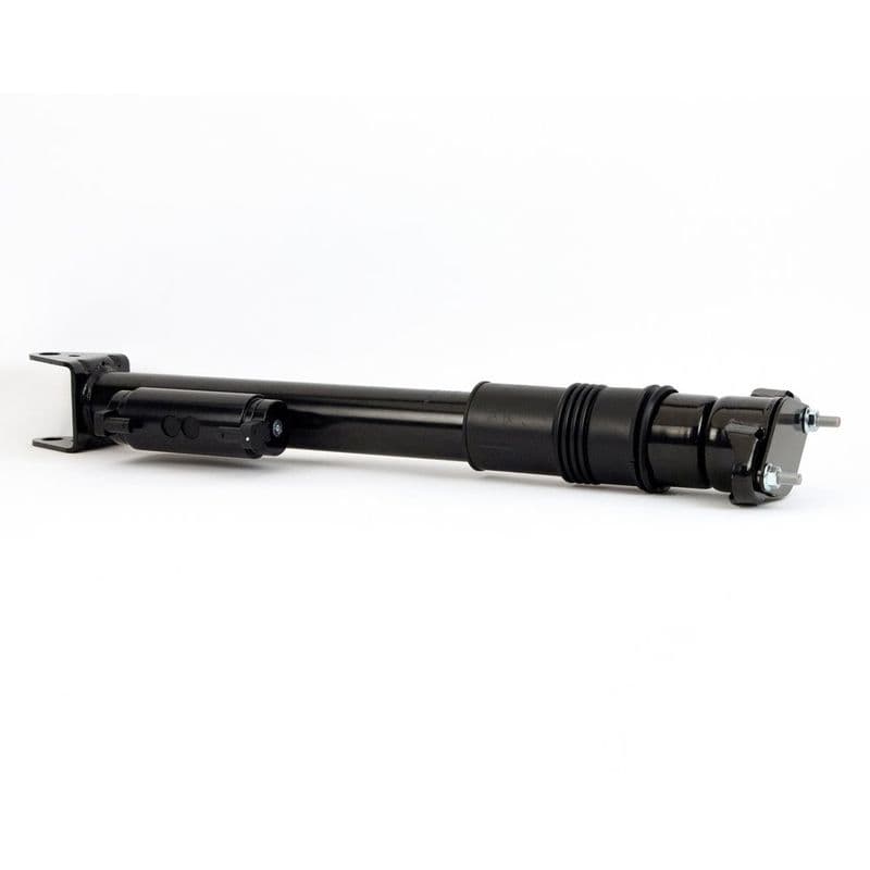 amortizor Arnott SK-3612