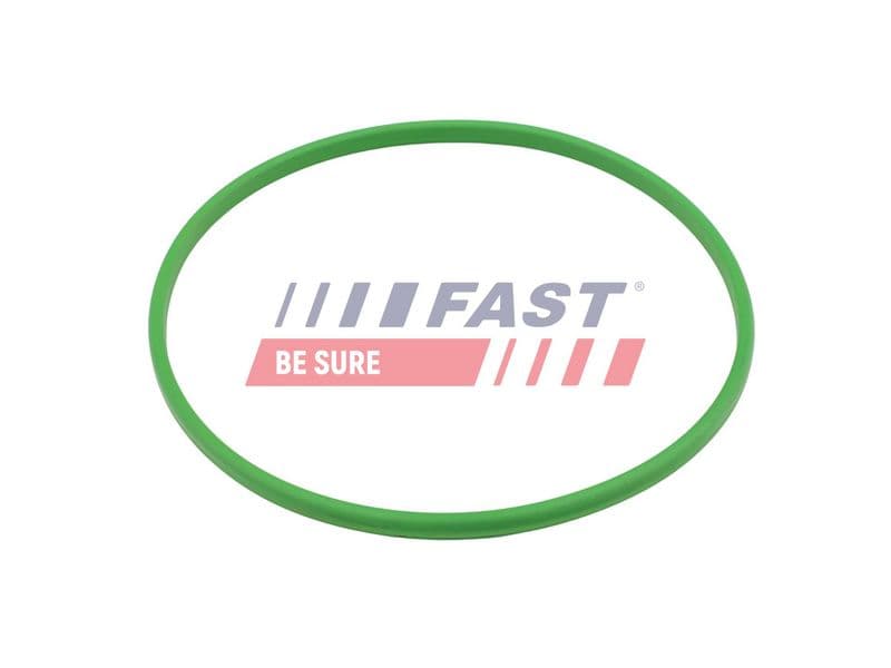 Garnitură de etanșare, rezervor de combustibil FAST FT48503