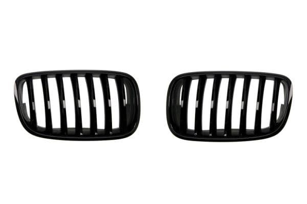 Grila radiator BLIC 6502-07-0096990P
