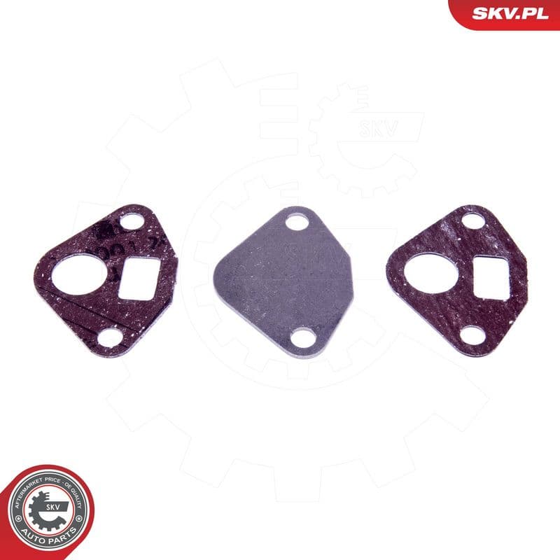 Set de reparație, supapă AGR ESEN SKV 14SKV553