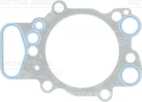 Garnitura, chiulasa REINZ 61-34880-00