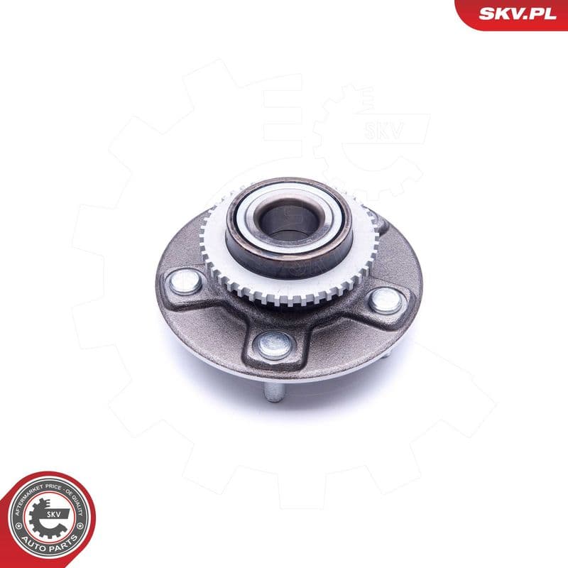 Set rulment roata ESEN SKV 29SKV205